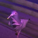 zeyphrft