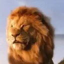 lion4036