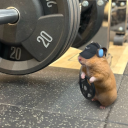 avatar will levis apologist