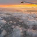 avatar 𝒜𝒷𝒷𝑒𝓎