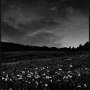 avatar 𝒜𝒷𝒷𝑒𝓎