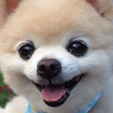 tmdgus0525#8480's avatar