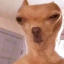 avatar You think I care?