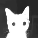 avatar Völkswägen̈