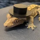 callmejulian_