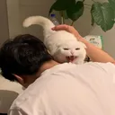 ★ oppai?