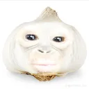 oswardtw