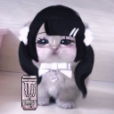 avatar Королева Кошечек🐈🐾