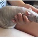tinoddp