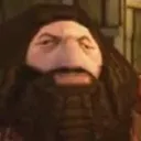 well_camel