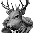 mattyp8