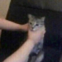 avatar LastDudeStanding