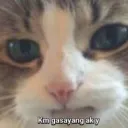 irpinnky