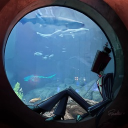 avatar ColorIllusions