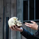 theskullfromhamlet