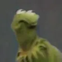 crazykermit0357