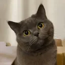 emi_nem.