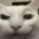 tigde