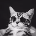j_xho