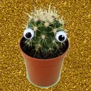 emmily_._.__