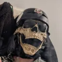 cattus_cheesus