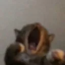 retiina