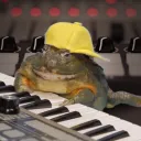 imtoad