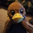 knubbi32