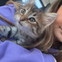 avatar 𝓜𝓪𝔂.. ☾