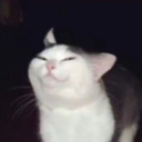 avatar CEO_of_Physics