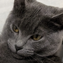 avatar Wine whisperer