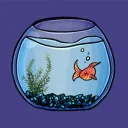 akafishy