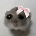 itspaw_