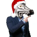 jasper_zebra