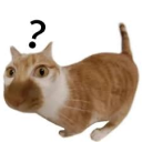 avatar Củ Cải Trong Trắng