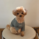 vongsik#8578's avatar