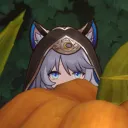 florianokaplo