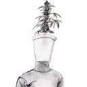 bageena