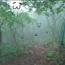 avatar year of the worse