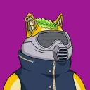 moggo_