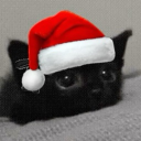 avatar 𝙯𝙣𝙖𝙭