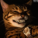 avatar 𝙯𝙣𝙖𝙭