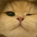 kalakabs