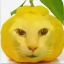 lemonmaster