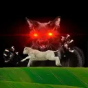 necrokittie