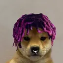dogecarti