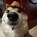 sanqo