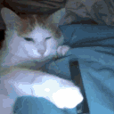 zoosk