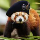 https://cdn.discordapp.com/avatars/391679766320775190/fc019fd4f08ab9ae5d6c37b6bc1fa78f.jpg?size=128
