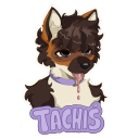 avatar TachibanaTheDog